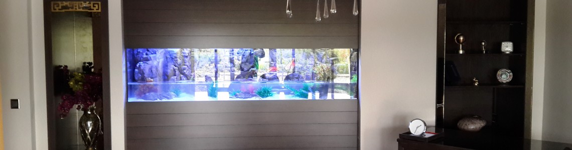 Doğuş Prina 250x60x60h