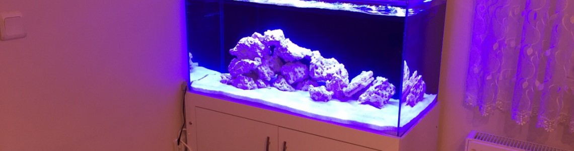 Kemal Demir 100x50x50
