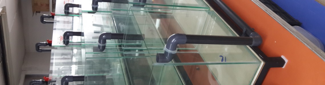 Ege Üniversitesi Bioloji Lab.-Deney Akvaryumları