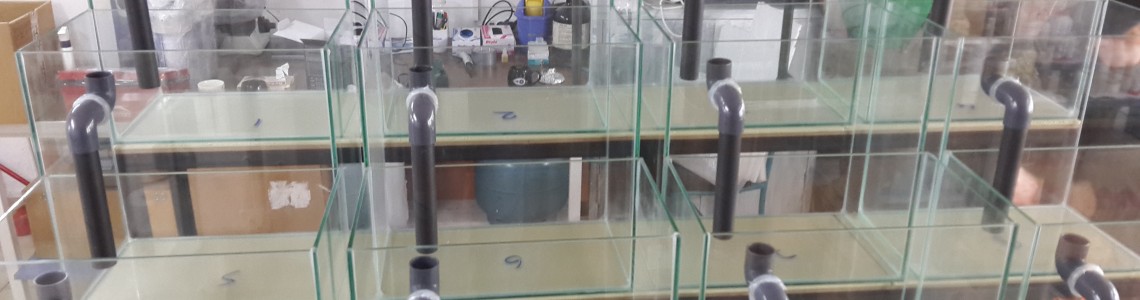 Yaşar Üniversitesi Deney Akvaryumu Akrilik