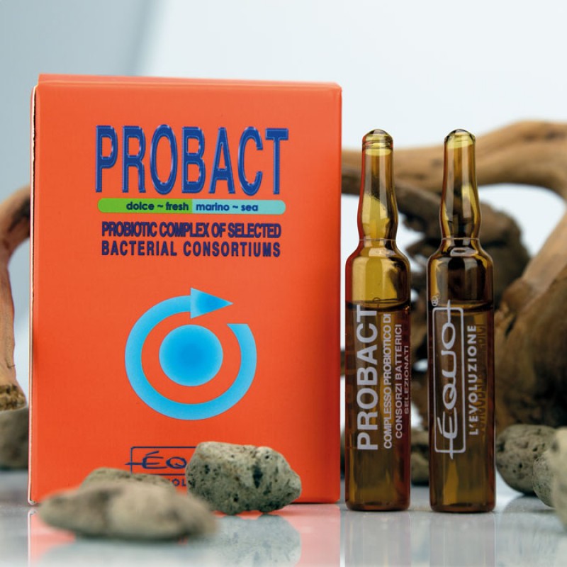 EQUO - PROBACT