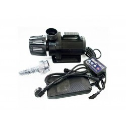 Hsbao DEP 15000 Kafa Motoru